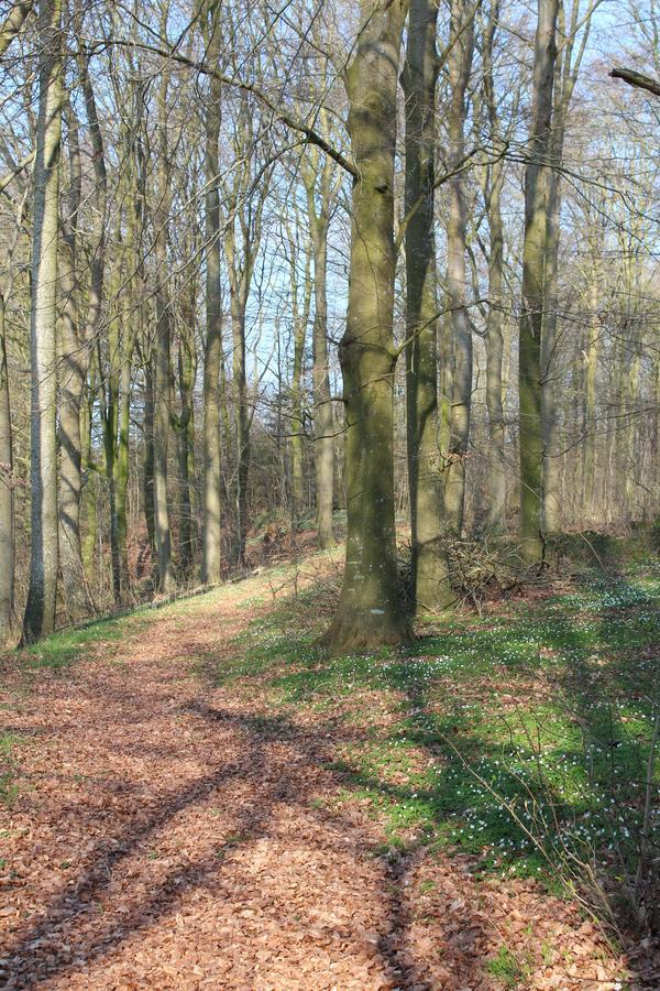Louiselund Bed & Breakfast Haderslev Buitenkant foto